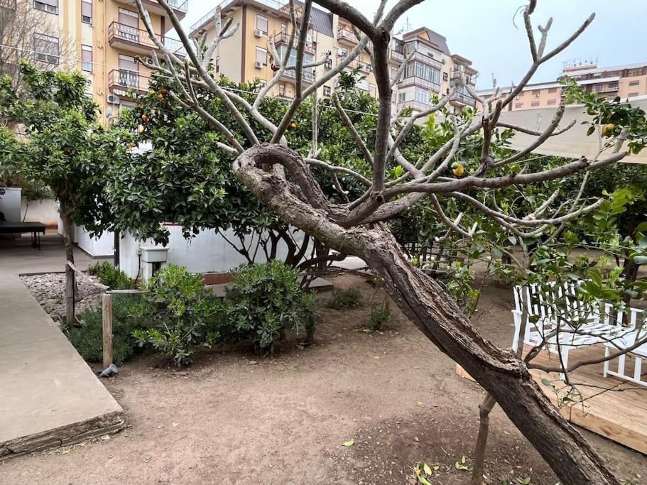 Casetta Bianca Palermo Exterior foto